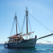 Dolphin Traditional Caique 60ft.